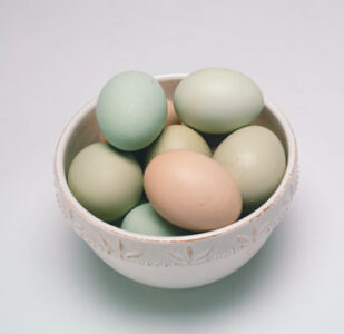 How Much Do You Know About Eggs? Image